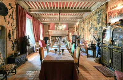 Hrad na prodej Pouzilhac, Occitanie, Foto 4/43