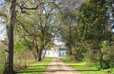 Zámeček na prodej Mołomotki-Dwór, Mazovia, Foto 6/16