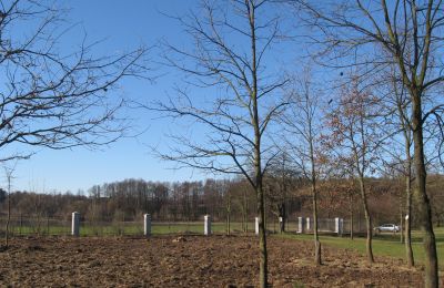 Zámeček na prodej Mołomotki-Dwór, Mazovia, ogrodzenie