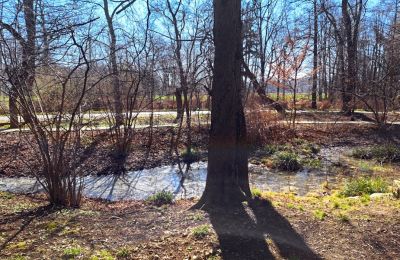 Zámek na prodej Bystrzyca Dolna, Dolní Slezsko, Foto 9/9