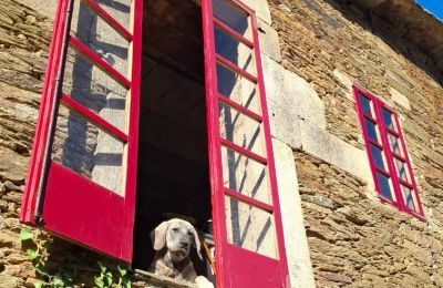 Zámeček na prodej Galicia, Foto 10/48