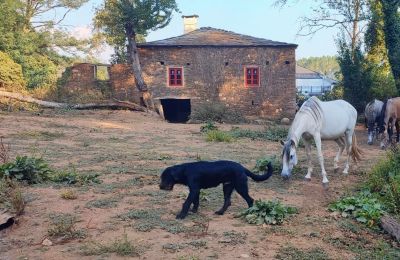 Zámeček na prodej Galicia, Foto 12/48