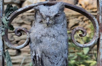 Zámeček na prodej Galicia, Foto 30/48