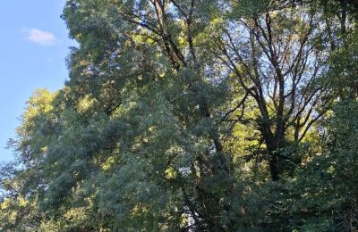 Zámeček na prodej Galicia, Foto 32/48