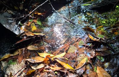 Zámeček na prodej Galicia, Foto 33/48