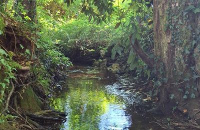 Zámeček na prodej Galicia, Foto 35/48