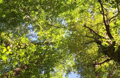 Zámeček na prodej Galicia, Foto 38/48