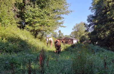 Zámeček na prodej Galicia, Foto 42/48