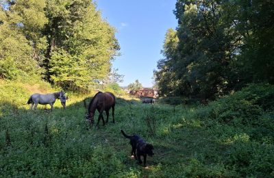 Zámeček na prodej Galicia, Foto 43/48