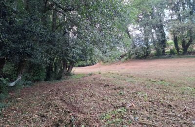 Zámeček na prodej Galicia, Foto 44/48