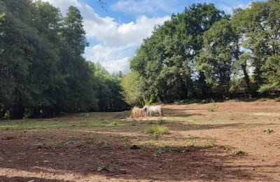 Zámeček na prodej Galicia, Foto 46/48