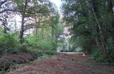 Zámeček na prodej Galicia, Foto 47/48