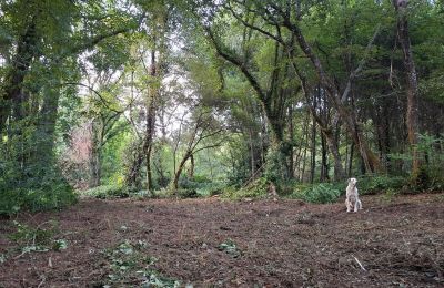 Zámeček na prodej Galicia, Foto 48/48