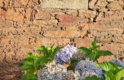 Zámeček na prodej Galicia, Foto 8/48