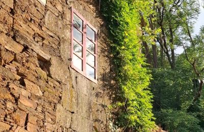 Zámeček na prodej Galicia, Foto 9/48