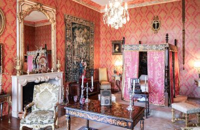 Zámek na prodej Forcalquier, Provence-Alpes-Côte d'Azur, Foto 7/10