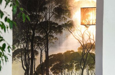 Historická nemovitost na prodej Uzès, Occitanie, Foto 25/46