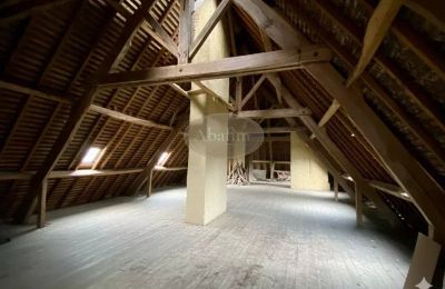 Zámek na prodej Mirande, Occitanie, Foto 20/26