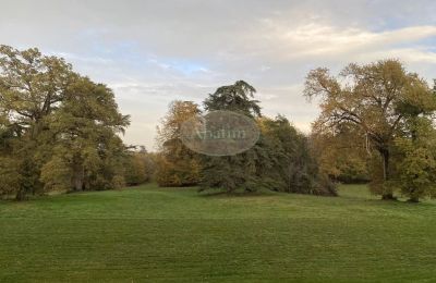 Zámek na prodej Mirande, Occitanie, Foto 26/26