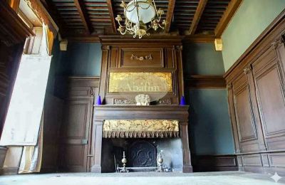 Zámek na prodej Mirande, Occitanie, Foto 7/26