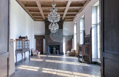 Zámek na prodej Mirande, Occitanie, Foto 8/26