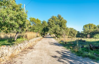 Zámeček na prodej Palma, Baleárské ostrovy, Foto 20/24