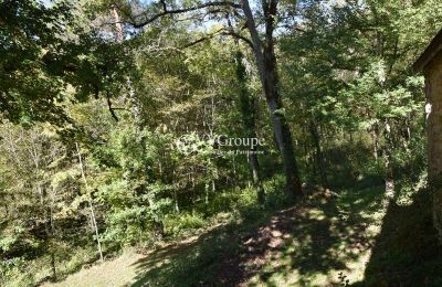 Venkovský dům na prodej Gourdon, Occitanie, Foto 11/11