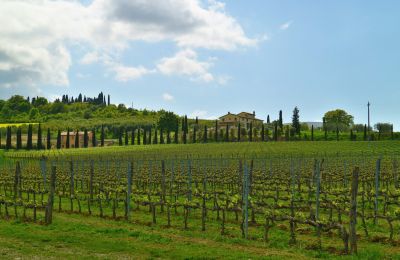 Venkovský dům na prodej Sarteano, Toscana, Foto 49/50