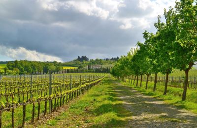 Venkovský dům na prodej Sarteano, Toscana, Foto 46/50