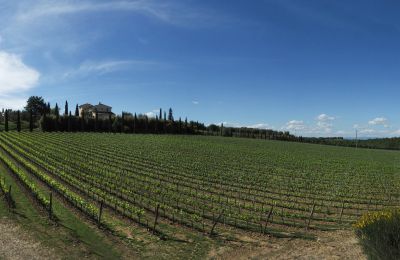 Venkovský dům na prodej Sarteano, Toscana, Foto 50/50