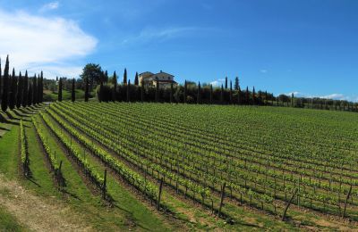 Venkovský dům na prodej Sarteano, Toscana, Foto 48/50