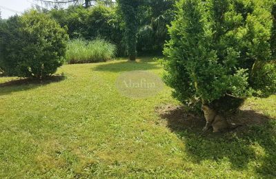 Historická vila na prodej Salies-de-Béarn, Nouvelle-Aquitaine, Foto 17/17