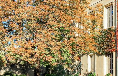 Městský palác na prodej Uzès, Occitanie, Foto 25/25