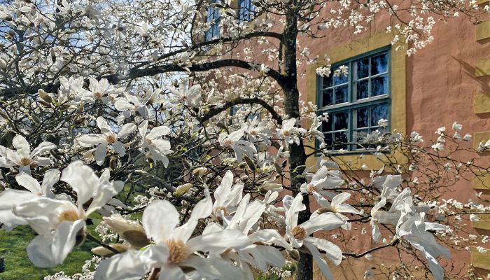 Hrad na prodej Meklenbursko-Přední Pomořansko