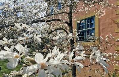 Hrad Meklenbursko-Přední Pomořansko