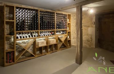 Venkovský dům na prodej Mouzon, Nouvelle-Aquitaine, Vinný sklep