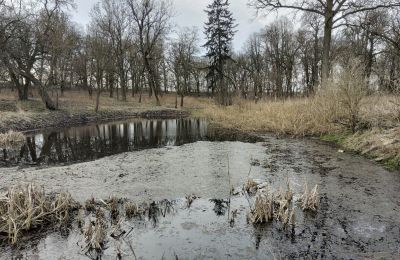 Zámeček na prodej Bolkowice, Dwór w Bolkowicach, Západopomořanské vojvodství, Park
