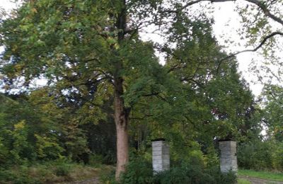 Zámek na prodej Kostrzyna, Kostrzyna 38, Dolní Slezsko, Foto 12/19