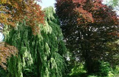 Zámek na prodej Kostrzyna, Kostrzyna 38, Dolní Slezsko, Foto 16/19