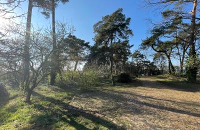 Venkovský dům na prodej 17375 Leopoldshagen, Meklenbursko-Přední Pomořansko, Blick in die Einfahrt