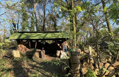 Venkovský dům na prodej 17375 Leopoldshagen, Meklenbursko-Přední Pomořansko, Brennholzlager