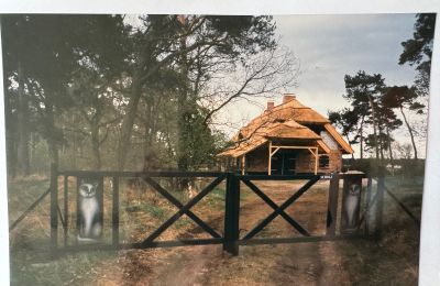 Venkovský dům na prodej 17375 Leopoldshagen, Meklenbursko-Přední Pomořansko, Foto 40/50