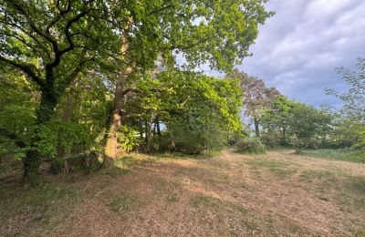 Venkovský dům na prodej 17375 Leopoldshagen, Meklenbursko-Přední Pomořansko, Gartenblick