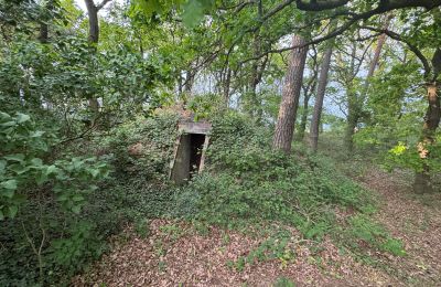 Venkovský dům na prodej 17375 Leopoldshagen, Meklenbursko-Přední Pomořansko, Erdbunker