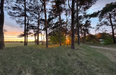 Venkovský dům na prodej 17375 Leopoldshagen, Meklenbursko-Přední Pomořansko, Sonnenuntergang Richtung Dorf