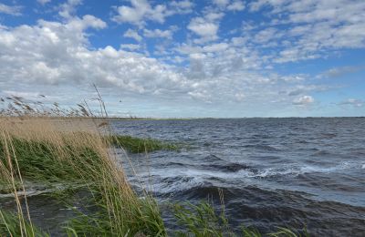 Venkovský dům na prodej 17375 Leopoldshagen, Meklenbursko-Přední Pomořansko, Haffblick von Leopoldshagen