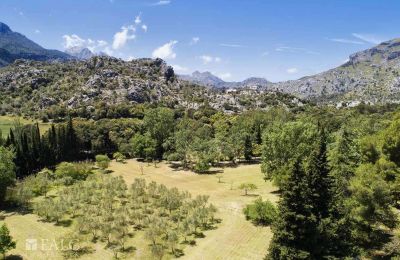 Zámeček na prodej Escorca, Baleárské ostrovy, finca-escorca-40