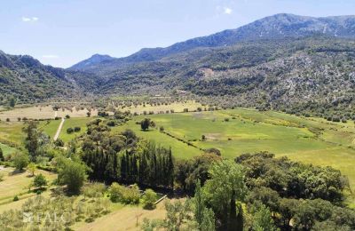 Zámeček na prodej Escorca, Baleárské ostrovy, finca-escorca-39