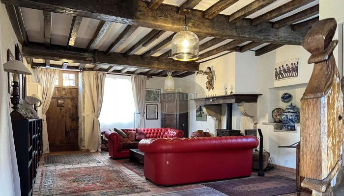  Sauveterre-de-Béarn 5