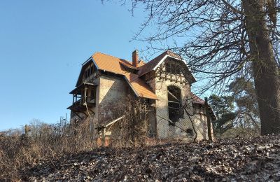 Historická vila na prodej Słubice, Lubušské, Foto 3/15